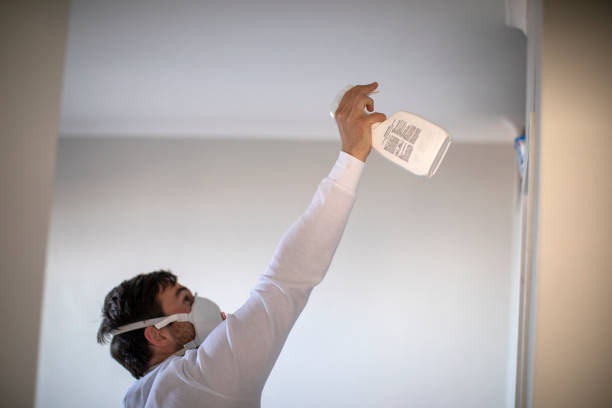 Best Black Mold Remediation in Tracy City, TN