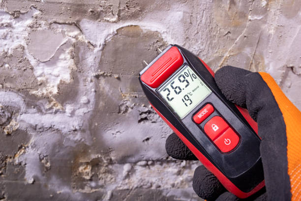 Best Post-Remediation Services in Tracy City, TN